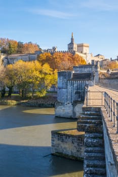 Avignon city viwed from his Saint Benezet bridge, famous medieval Papal city on the Rhone River in autumn, vertical photography taken in France