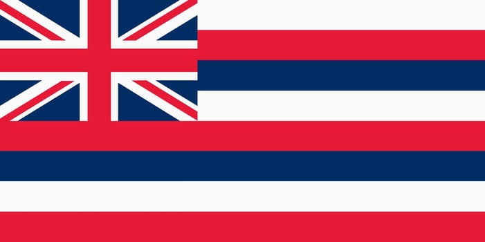 A Hawaii State Flag background illustration