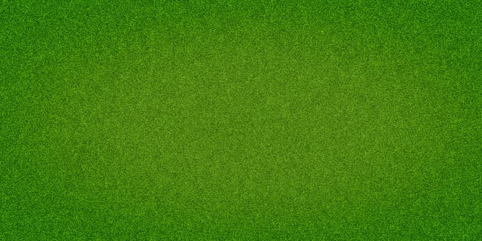 Green grass background, top view background of garden bright grass concept used for making green backdrop, lawn for sports field