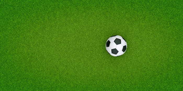 Top view. soccer ball on the grass