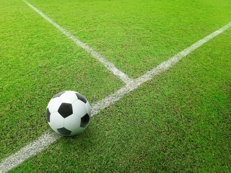 Soccer line in green grass of soccer field