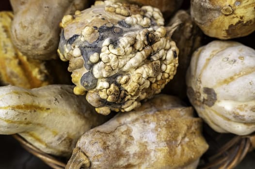 Detail of fresh pumpkins in a market, healthy food, vegan