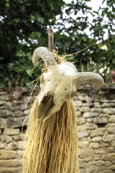 Detail of decoration with a skull of a dead animal, taxidermy