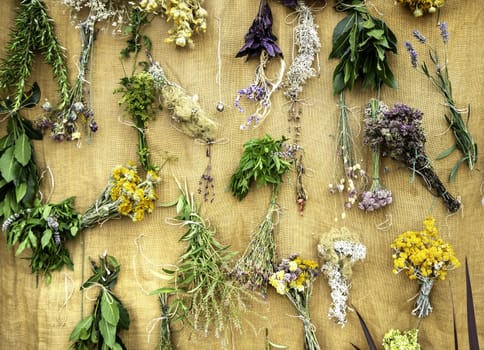 Detail of dried herbs for traditional medicinal treatments