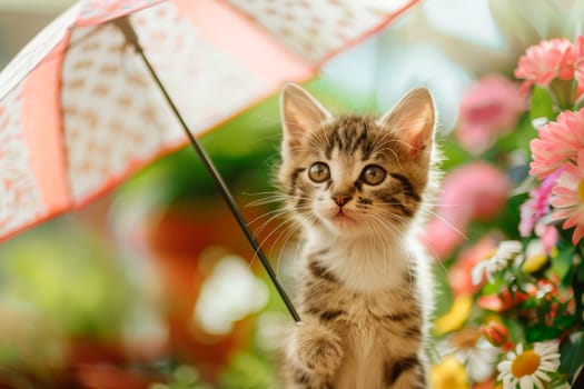 A cute kitten under umbrella in the summer garden. AI generated