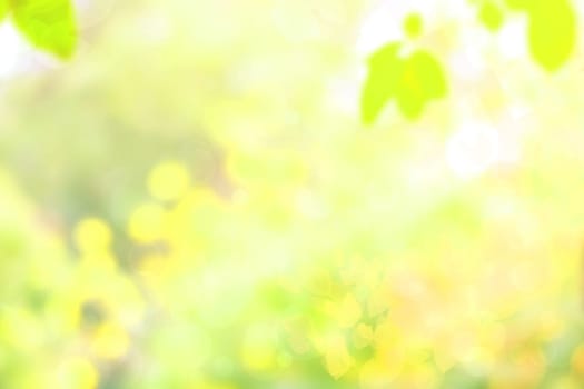 Abstract blurred fresh vivid spring summer light delicate pastel yellow green white bokeh background texture with bright circular soft color lights. Beautiful backdrop illustration.