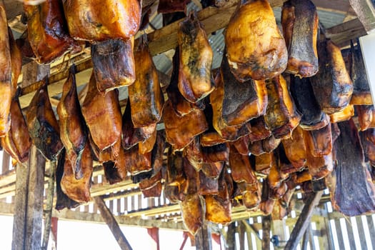 hakarl fermented shark pieces fish hanging drying wooden structure