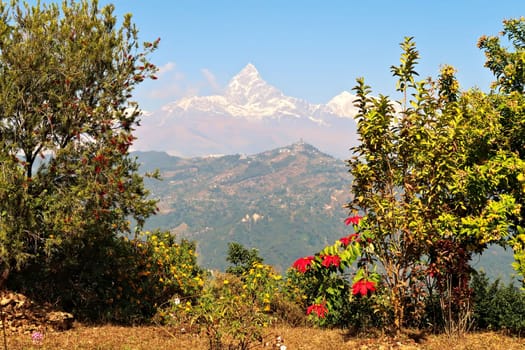 View between the trees onto the snow capped peak of Mount Machapuchare, on the way up to the World Peace Pagoda, close to Pokhara, Phewa Lake, Nepal 2022