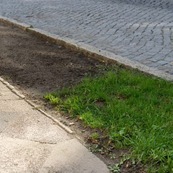 Roadside with green wild plants and soil without plants