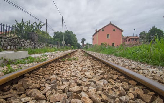Rural rairoads network concept. Weeds growing on trackbed