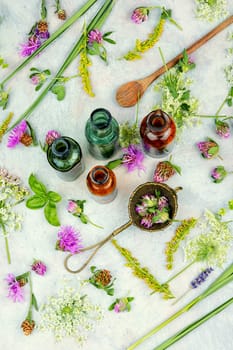 Bottles of tincture or potion and dried healthy herbs, medicinal herbs