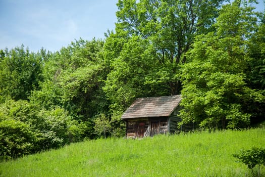 A quaint wooden cabin stands amidst lush green foliage, surrounded by a dense forest, with a serene and rustic ambiance