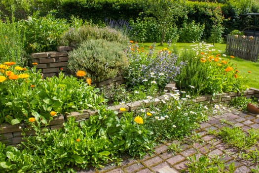 herb spiral in the garden with fresh herbs and flowers