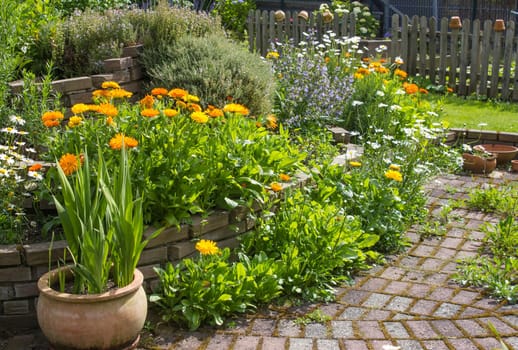 herb spiral in the garden with fresh herbs and flowers