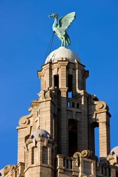 The Liver Building on the city of Liverpool in the northwest of England