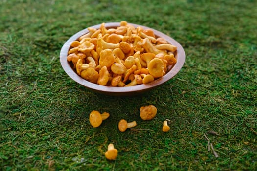 Fresh chanterelles in a wooden bowl on moss