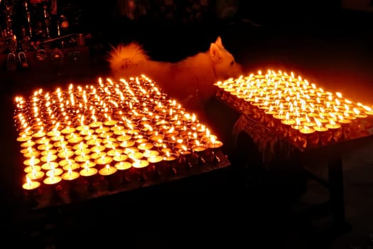 Many butter lamps, candles enlighten the night at the Boudhanath Stupa, a dog is walking in the background, Kathmandu, Nepal 2022