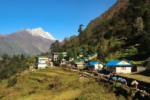 Mules, donkeys are passing through the village of Paiya in the morning sun, the Himalayas can be seen in the background, Mount Everest Basecamp Trek, Nepal 2022