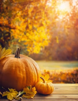 Old wooden table with colorful maple leaves and big pumpkins over blurry garden background with copy space. Late fall seasonal view