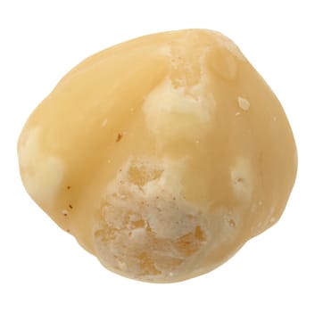 Peeled hazelnut on isolated background, close up