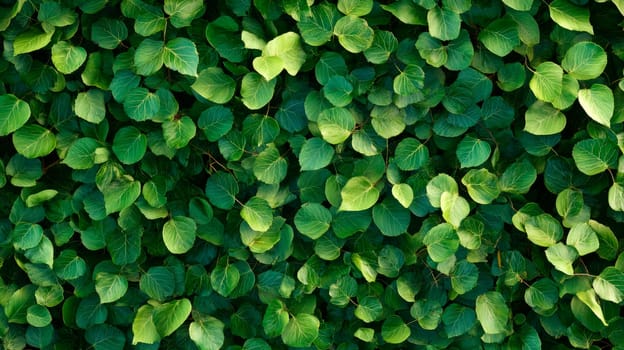 Fresh green leaves background as nature background or natural wallpaper. AI generated