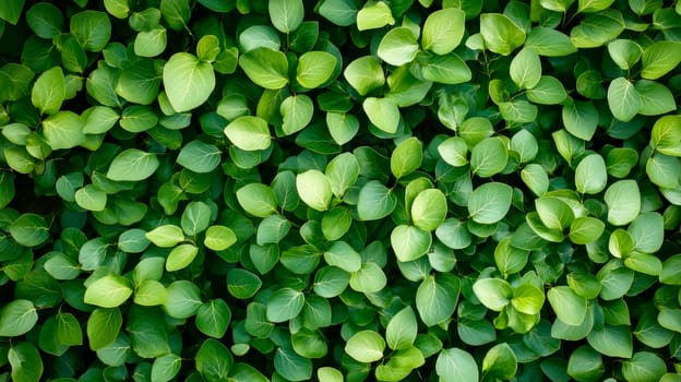 Fresh green leaves background as nature background or natural wallpaper. AI generated