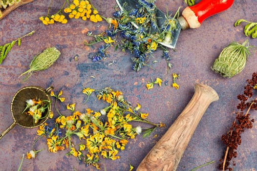 A set of medicinal and healing herbs