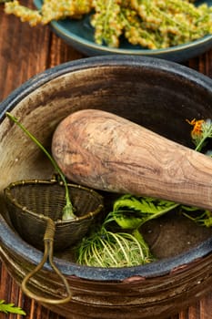 A set of medicinal and healing herbs