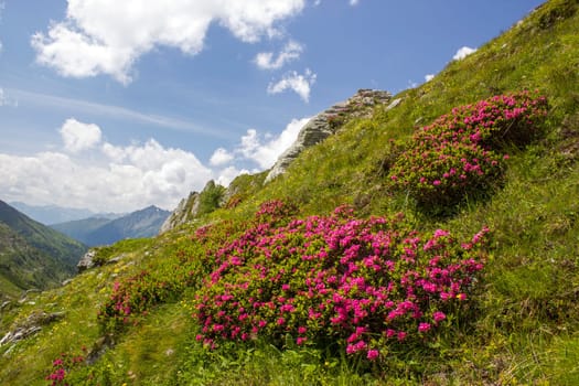 High mountains of higt Tauern around Grossglockner. Austrian Alps, Austria.