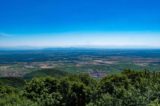 a view of Alsace plain in summertime