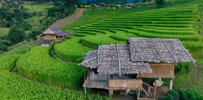Landscape of green rice terraces and traditional huts in a village near Chiangmai, Thailand. Travel destinations. Beauty of terraced rice fields. Rural life and traditional farming practices in Asia.