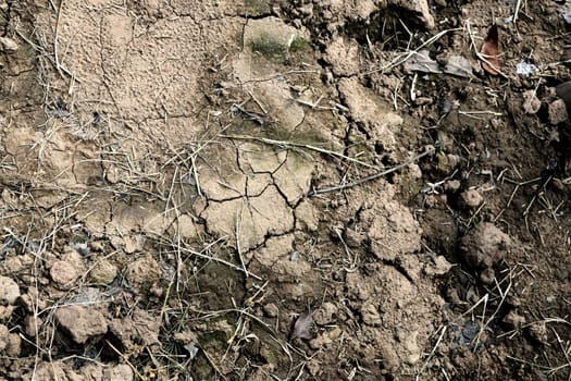 Close up of soil covered with web of cracks and splits. Cracked Earth.