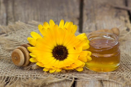 honey and calendula flower on wooden background