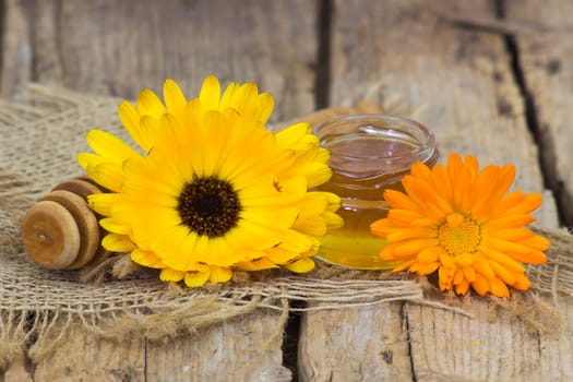 honey and calendula flower on wooden background