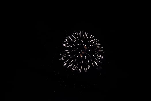 A colorful fireworks in the black night sky