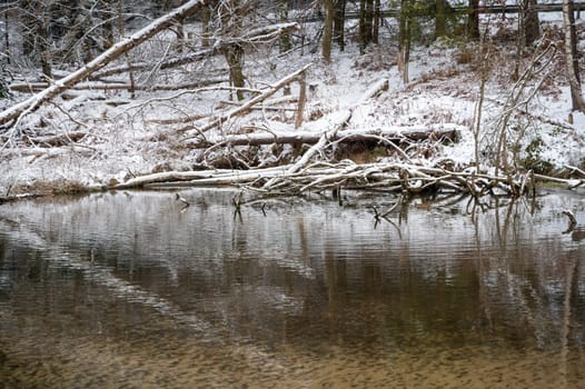 Little Dam built by beavers, damming a small body of water with wood and snow