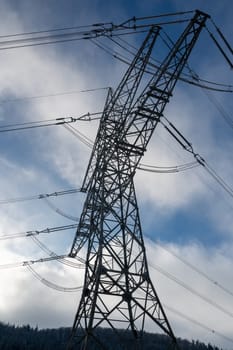 Power pole with trees and sky