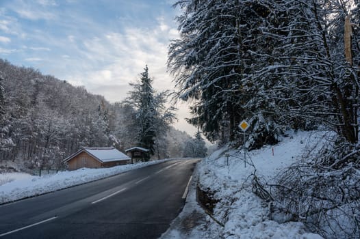 Snow landscape with trees, road and blue sky with clouds, with sign "Goodbye"" in German"