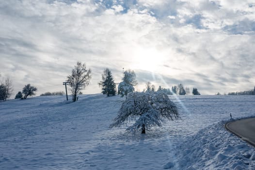 Ski resort at Engländer in Spessart, Bavaria, Germany. With a tree full of snow in the foreground and bright sun