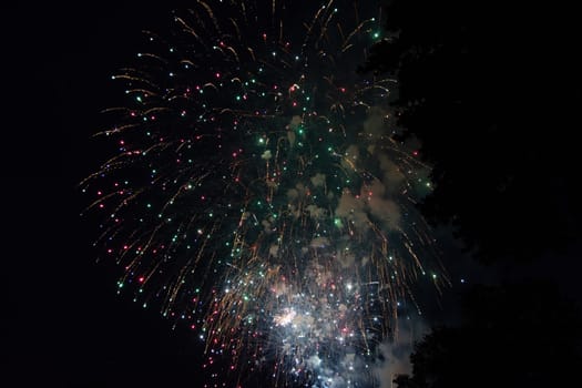 A colorful fireworks in the black night sky with the silhouette of a tree in the foreground