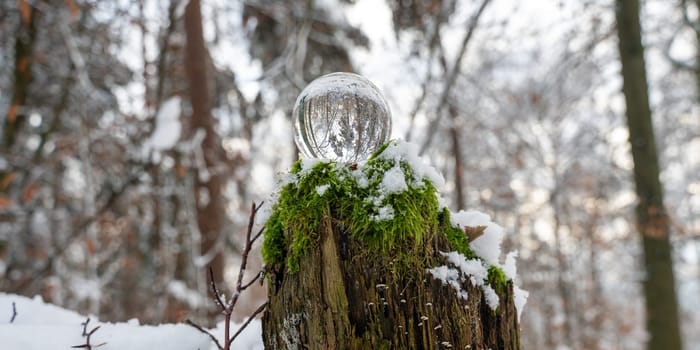 Glass ball on snow-covered rotten tree stump on a cold winter day in the forest, with reflections of trees in the glass