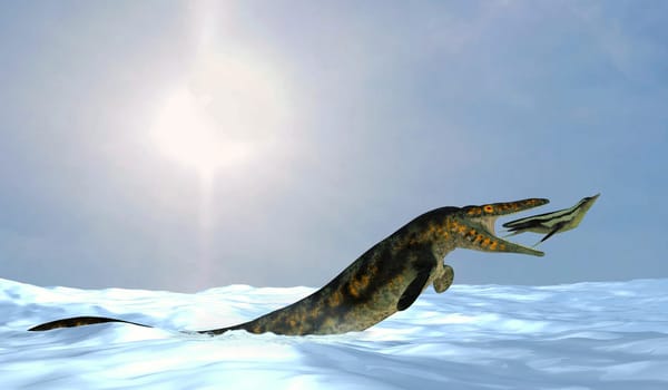 Tylosaurus marine reptile hunts a Dolichorhynchops during the Cretaceous Period in the Western Interior Seaway of North America.