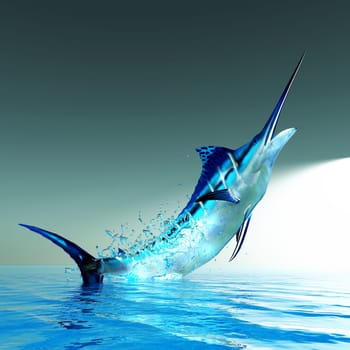 The Atlantic Blue Marlin fish is the largest bony fish and is a popular game fish in the Atlantic ocean.
