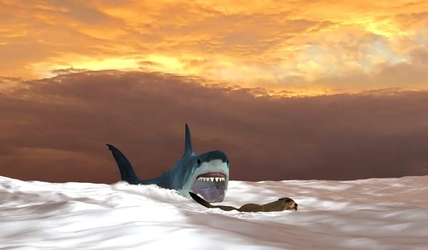 A Great White shark tries to capture a Sea Lion swimming for its life.