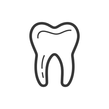 Outline drawing of a single human tooth