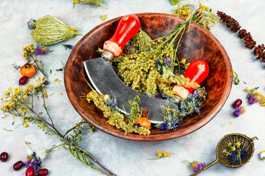Medicinal herbs and plants in a retro clay bowl. Alternative medicine.