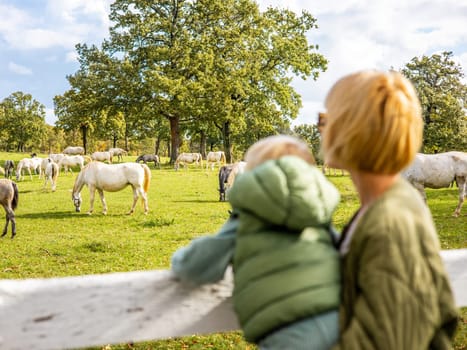 A woman and child are observing a group of horses grazing in a green field in a rural area, surrounded by plants and grass in the ecoregion