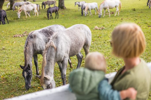 A woman and child are observing a group of horses grazing in a green field in a rural area, surrounded by plants and grass in the ecoregion