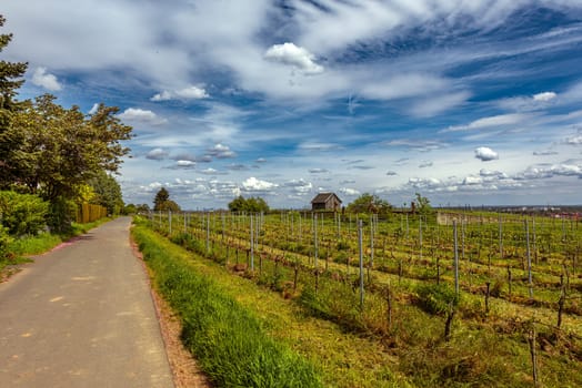 View from the Florsheimer Warte to the Rhine-Main plain, Hesse, Germany