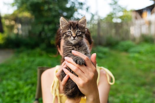 Girl holding a fluffy kitten in front of their face, with greenery in the background. Perfect for pet lovers and nature enthusiasts